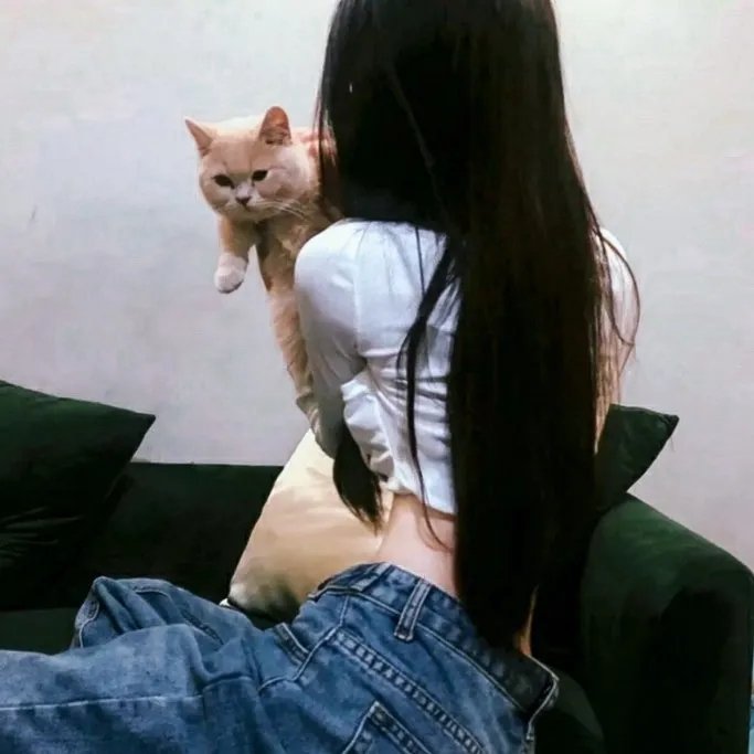 特斯拉